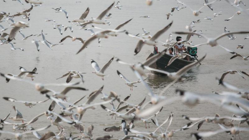 This photo taken on February 26, 2020 shows seagulls flying past a boat in Mawlamyine in Myanmar's Mon State. (Photo /RSS