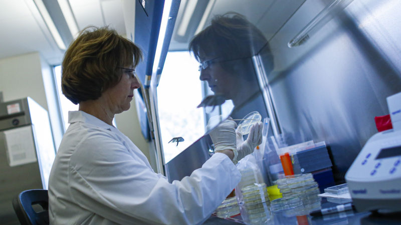 A researcher works in a lab that is developing testing for the COVID-19 coronavirus at Hackensack Meridian Health Center for Discovery and Innovation on February 28, 2020 in Nutley, New Jersey. The facility develops novel therapies for some of the worlds most difficult diseases. At least 53 countries have reported cases of infection.  Photo/RSS