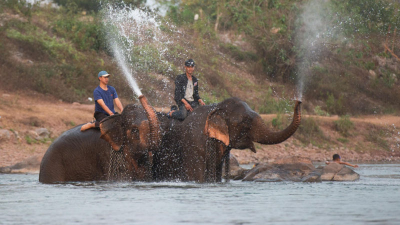  People ride on elephants during the Elephant Festival in a tributary of Mekong River in northern Lao province of Xayaboury, on Feb. 22, 2020. The annual Elephant Festival lasts from Feb. 22 to Feb. 28 this year.  Photo/RSS
