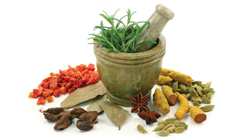 आयुर्वेदिक उपचारमा आकर्षण बढ्दै