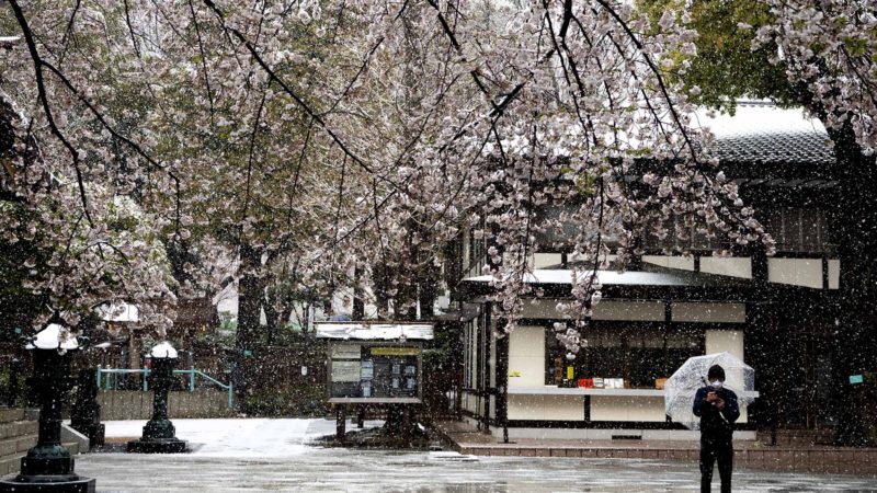 A man visits a shrine as snow falls Sunday, March 29, 2020, in Tokyo. Tokyo Gov. Yuriko Koike has asked the city's 13 million residents to stay home this weekend, saying the capital is on the brink of an explosion in virus infections. (AP Photo/Jae C. Hong)