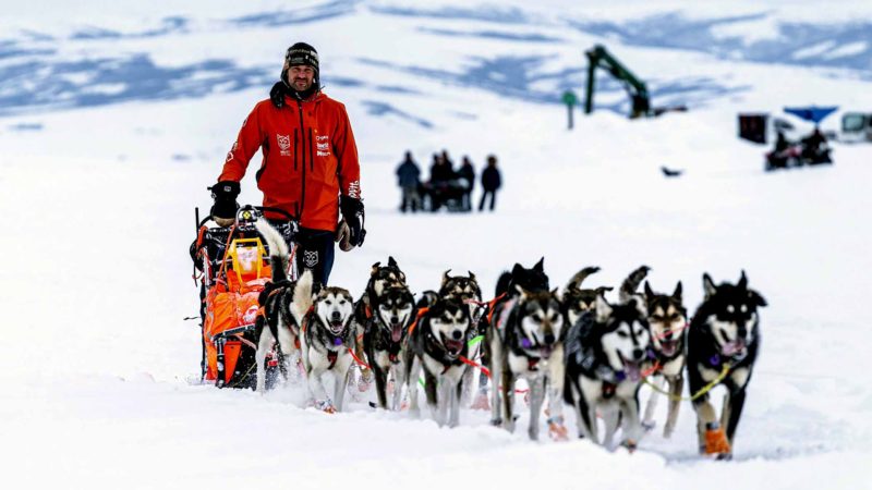 Thomas Waerner mushes into Unalakleet, Alaska, Sunday, March 15, 2020 during the Iditarod Trail Sled Dog Race. (Loren Holmes/Anchorage Daily News via AP)