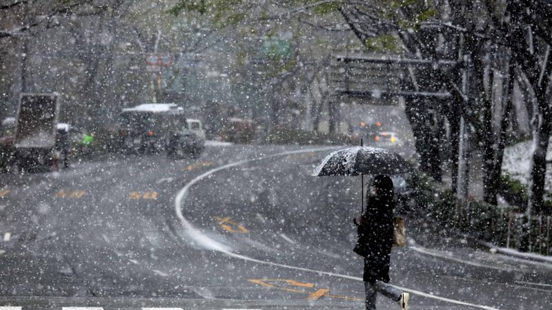 A woman walks across the street as snow falls Sunday, March 29, 2020, in Tokyo. Tokyo Gov. Yuriko Koike has asked the city's 13 million residents to stay home this weekend, saying the capital is on the brink of an explosion in virus infections. (AP Photo/Jae C. Hong)