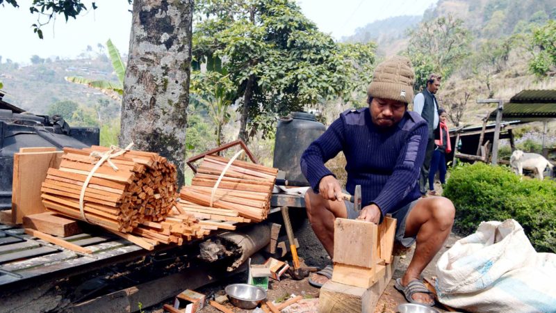आम्दानीको स्रोत बन्दै मौरीघार