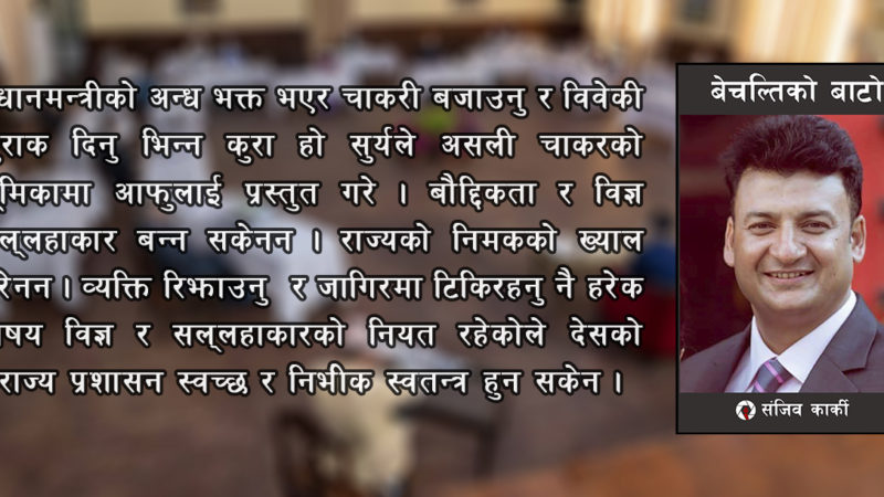 पद प्रधानमन्त्रीको प्रेस सल्लहाकार,भूमिका निशानाबाज