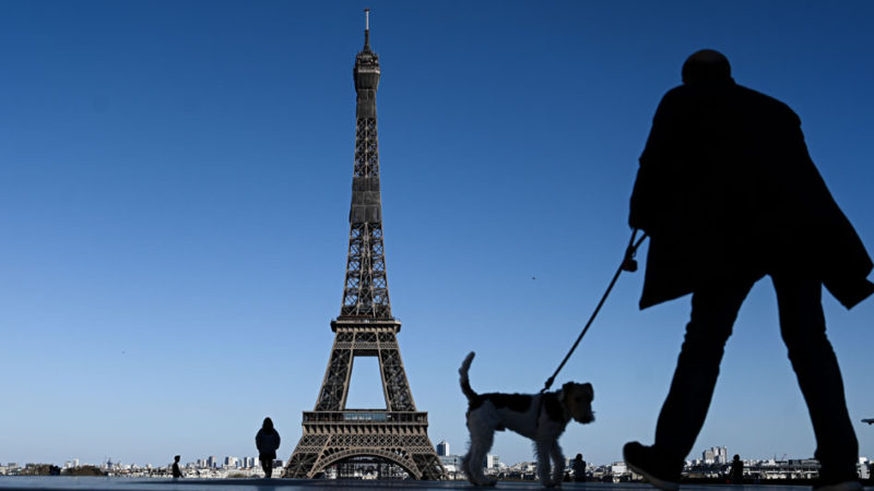 A man walks his dog in front of the Eiffel Tower in Paris on April 5, 2020, on the twentieth day of a lockdown in France aimed at curbing the spread of COVID-19 (novel coronavirus). Photo/RSS