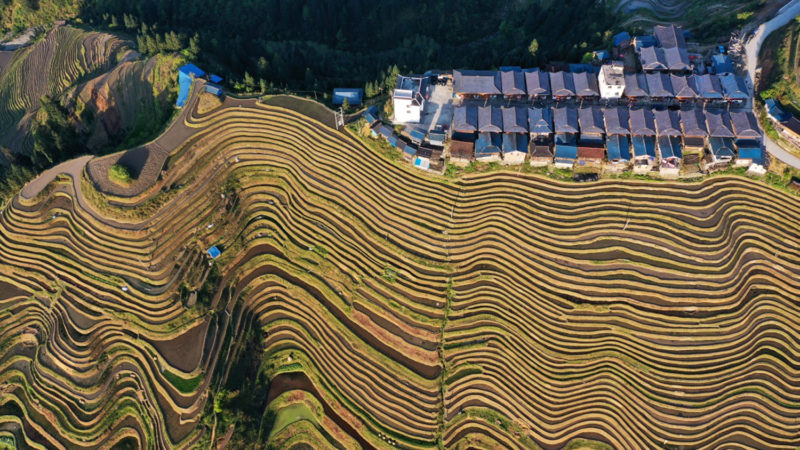 Aerial photo taken on March 31, 2020 shows terraced fields in Bietong Village of Congjiang County, southwest China's Guizhou Province. Photo/RSS