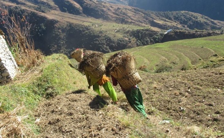 लकडाउनले गाउँ फर्केका युवायुवती मेलापातमा