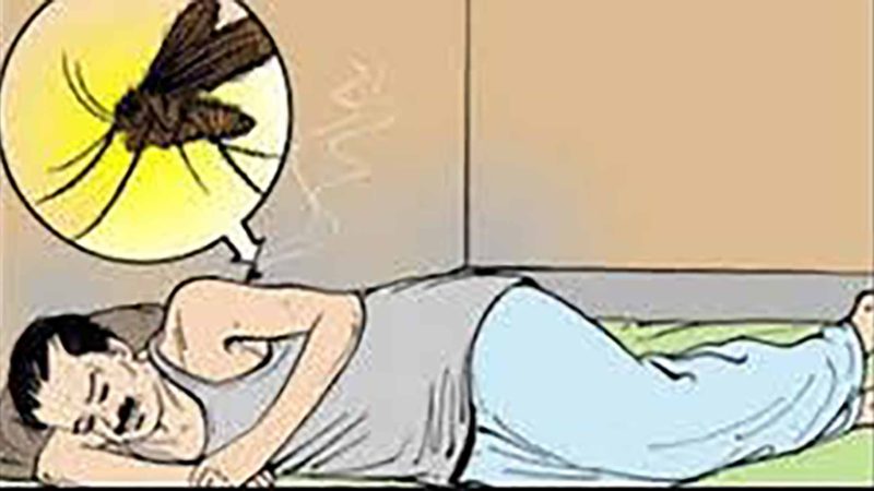 दार्चुलामा देखिए कालाजारका बिरामी