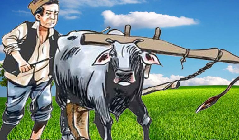 सुदूरपश्चिमका मुक्त हलियालाई साँझबिहान छाक टार्न मुस्किल