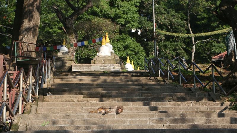 शान्त रह्यो बुद्ध जयन्ती