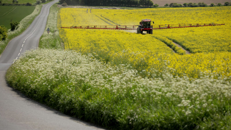 A farm vehicle works in a cole field in Oxfordshire, Britain on May 8, 2020. (Photo by Tim Ireland/RSS)