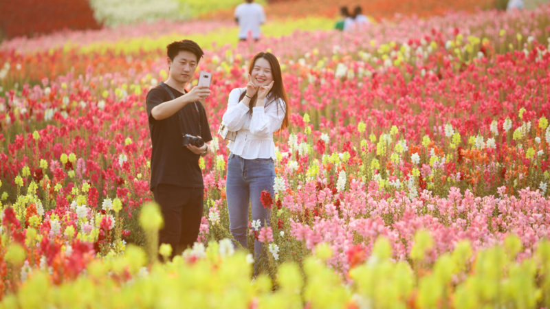 Tourists take a selfie among blooming flowers at a scenic spot in Suining, southwest China's Sichuan Province, May 1, 2020. TO GO WITH XINHUA HEADLINES OF MAY 5, 2020 (Photo/RSS)