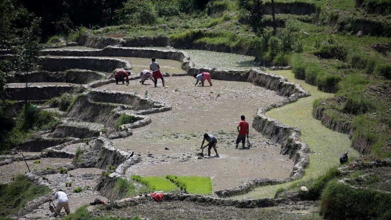 बाँझो जमीन देखिनै छाड्यो