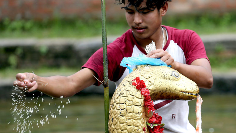 नागपञ्चमी