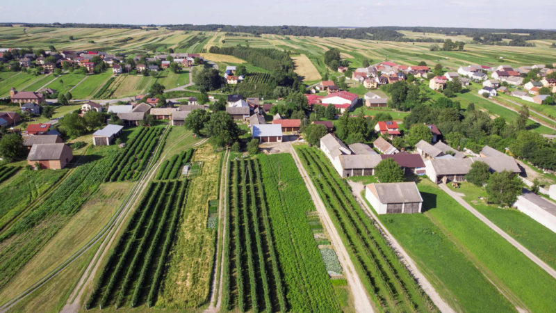 An aerial picture taken on July 6, 2020 shows a view of the raspberry farm of Polish farmer Grzegorz Myszak in Godziszow, Poland. - A farmer and conservative father of five, Grzegorz Myszak is crystal clear about his reasons for backing Poland's right-wing President Andrzej Duda in a knife-edge run-off against liberal Warsaw mayor Rafal Trzaskowski. (Photo / RSS)