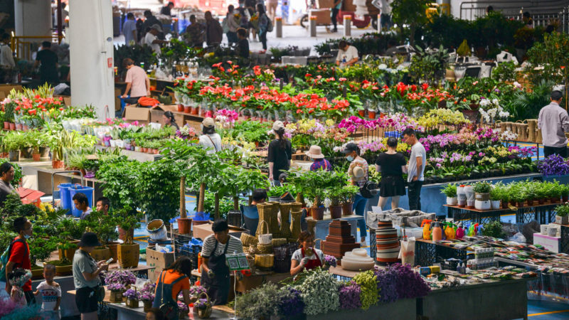 This photo taken on July 27, 2020 shows people buying flowers at a flower wholesale market in Kunming in China's southwestern Yunnan province. Photo/RSS