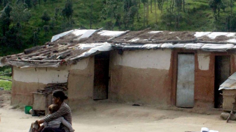 मुक्तहलियाको पीडाः वर्षौँदेखि जङ्गलमा बास