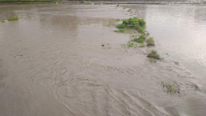 बाँकेमा ११४ गाउँ बाढीको उच्च जोखिममा