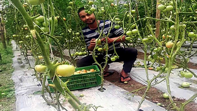 ‘पूर्वलडाकू’ कुँवरको फेरिएको परिचय