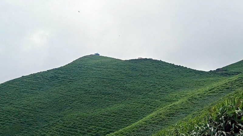 अम्रिसो खेतीले परिचित निस्दी गाउँपालिका–३ झिरुवासमा पर्ने पर्यटकीय काउलेडाँडा वन । अम्रिसो खेती थालनी गरेर कबुलियती वनलाई पर्यटकीय क्षेत्रका रुपमा विकास गर्न थालिएपछि यो क्षेत्र पर्यटकको गन्तव्यस्थल बनेको छ । तस्बिर ः रासस