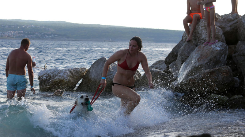 A dog gets out of the water with its owner during the 4th Monty Underdog Marathon in Crikvenica, Croatia, Aug. 23, 2020. The event is a swimming competition for dogs and their owners. (Photo/RSS)