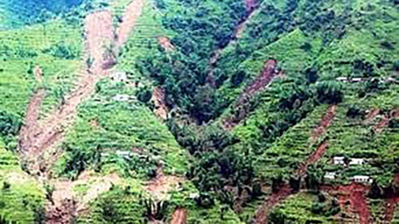 विस्थापितका पीडा ‘बाली भित्र्याउन पाइएन’