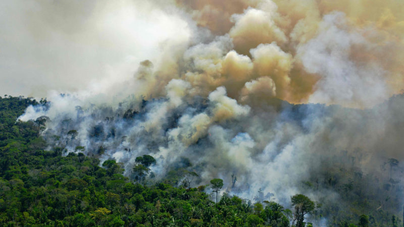 This file picture taken on August 16, 2020 shows an aerial view of a burning area of Amazon rainforest reserve, south of Novo Progresso in Para State. - Bankers, businessmen, celebrities, environmentalists and even voices from agribusiness sector advocater a green conversion to take Brazil out of recession and increase pressure on the government of Jair Bolsonaro, at a time when fires ravage the country's forests and wetlands. (Photo / RSS)