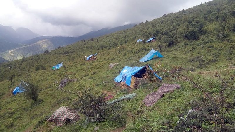 कहिले निको होला ’boutकोटको घाउ ?
