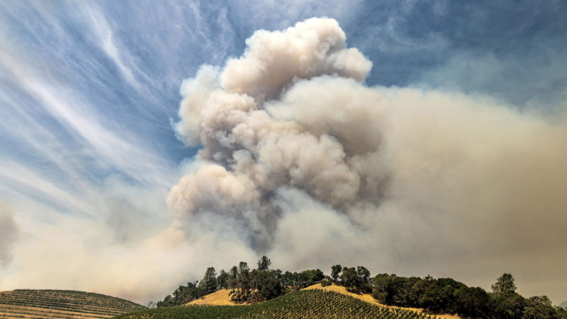 A plume rises over a vineyard in unincorporated Napa County, Calif., as the Hennessey Fire burns. Smoke from the West Coast wildfires has tainted grapes in some of the nations most celebrated wine regions. The resulting ashy flavor could spell disaster for the 2020 vintage. (AP Photo/RSS)