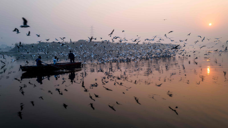 People ride on a boat near the banks of the Yamuna River during a smoggy morning at sunrise in New Delhi on October 29, 2020. (Photo / RSS)