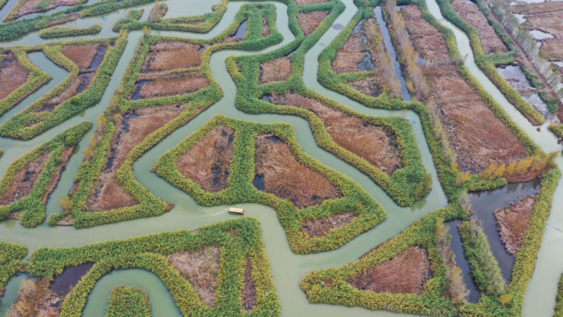 Photo taken with a drone on Oct. 29, 2020 shows an aerial view of the Sihong Hongze Lake Wetland Scenic Area in Suqian, east China's Jiangsu Province. (Photo by Xu Changliang/RSS)