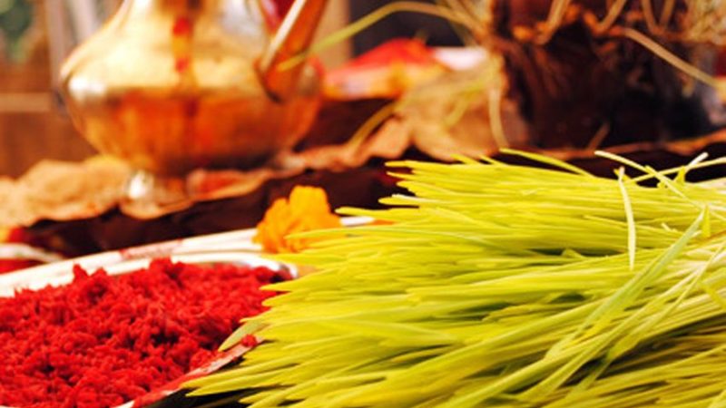 नवदुर्गाको प्रसादस्वरूप टीका र जमरा लगाउने क्रम जारी