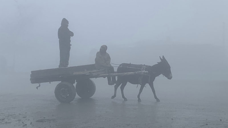 Afghan men ride a donkey cart during a heavy fog in Kabul, Afghanistan, Thursday, Nov. 26, 2020. (AP Photo/RSS)