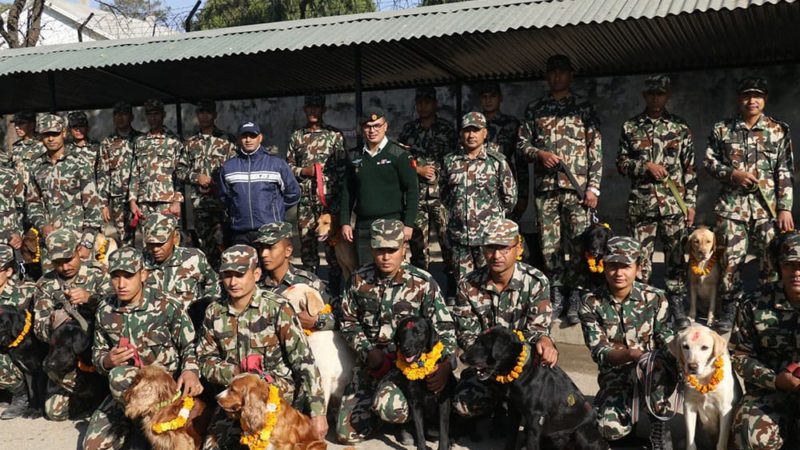 कुकुर तिहार सन्दर्भः शान्तिसेनामा शानदेखि गामिनीसम्म