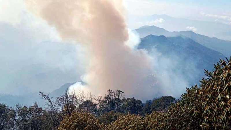 पाथीभराको डढेलो कञ्चनजंघा संरक्षण क्षेत्रमा प्रवेश
