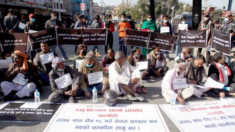 ऋण तिर्न घरबास बेच्दै सर्लाहीका उखु किसान