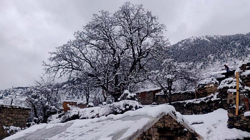 मनाङमा आइतबारदेखि पुनःहिमपात, यातायात अवरुद्ध