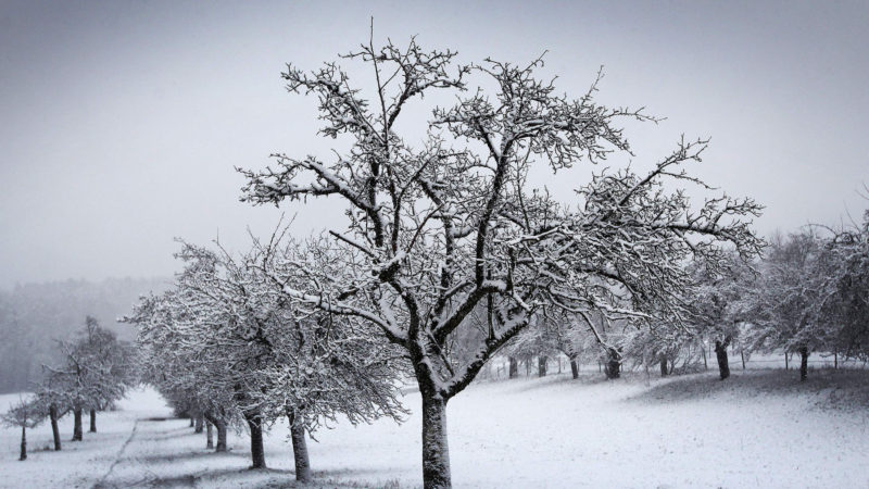 A snowy winter landscape ic pictured in Gaiberg near Heidelberg, western Germany, on January 8, 2021 (Photo/RSS)