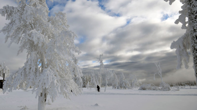 Landscape is covered in snow at the Kahler Asten mountain near Winterberg, western Germany, on January 10, 2021, amid the ongoing novel coronavirus / COVID-19 pandemic. - Despite the corona rules in force, many winter sports resorts in Germany are experiencing a veritable rush of visitors. In the snowy Sauerland region, numerous people made their way to the mountains, despite appeals from the authorities to refrain from skiing and tobogganing during the lockdown. (Photo/RSS)