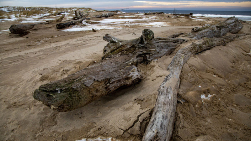 Photo taken on Jan. 22, 2021 shows the winter scenery of Baltic Sea and a beach in Carnikava, Latvia. (Photo / RSS )