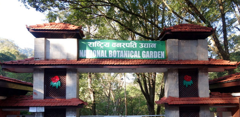 गोदावरी राष्ट्रिय वनस्पति उद्यानः खरेटो र चैत्यफूलको संरक्षण