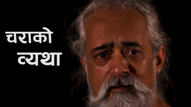 चराको ब्यथा