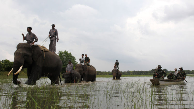 Forest rangers wade through water during a regular patrol at Way Kambas National Park in Lampung, Indonesia, Jan. 6, 2021. (Photo/RSS)