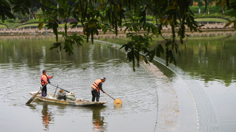 Staff members work on a tributary of the Yangtze River in Dianjiang County, southwest China's Chongqing, July 25, 2020. In recent years, Chongqing has continuously built up important ecological barriers in the upper reaches of the Yangtze River by strengthening ecological restoration. The ecological environment in the Chongqing section of the Yangtze River has been continuously improved. (Xinhua/RSS)