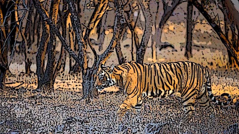 छेकिएको सत्य