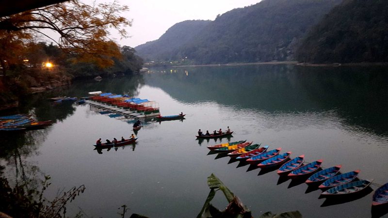 पोखरा महानगरपालिका वडा नं ६ गौरीघाटबाट सोमबार साँझ देखिएको फेवाताल र ताल पारीबाट माछा मारेर फर्कदै गरेका स्थानीय ।