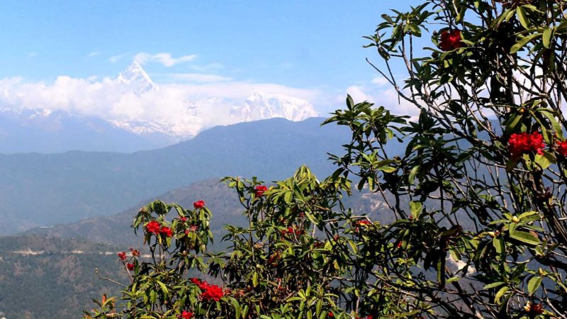 अधिकांश गाउँघर पुरुषविहीन बन्दै