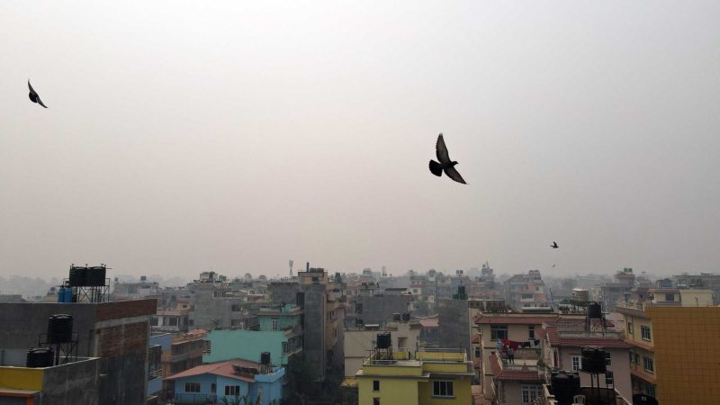 देशभरि बढ्यो वायु प्रदूषण, बाहिर ननिस्कन विज्ञको सुझाव