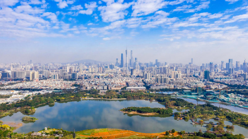 Aerial photo taken on Feb. 24, 2020 shows the Haizhu wetland and the Canton Tower in the distance in Guangzhou, capital of south China's Guangdong Province. (Photo /RSS)